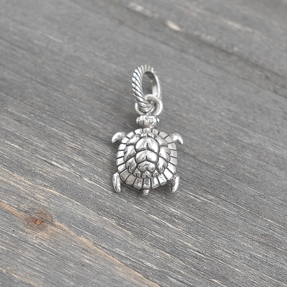 Brighton Silver Turtle Charm Bracelet - Picture 1 of 5